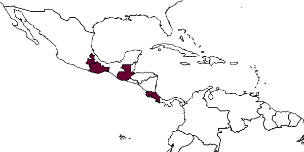 map of Mesochorus insignatus     Dasch, 1974